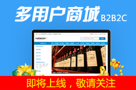 多用户商城系统解决方案