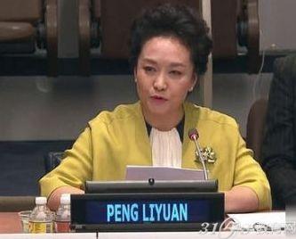 彭丽媛全球教育高级别聚会英文演讲内容 双语